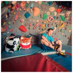 YY Vertical Chalk Bag Giant Shiba - Chalk Bag -Alpine Trek Sale Store yy vertical chalk bag giant shiba chalk bag detail 3